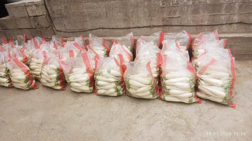фотография продукта Дайкон свежий