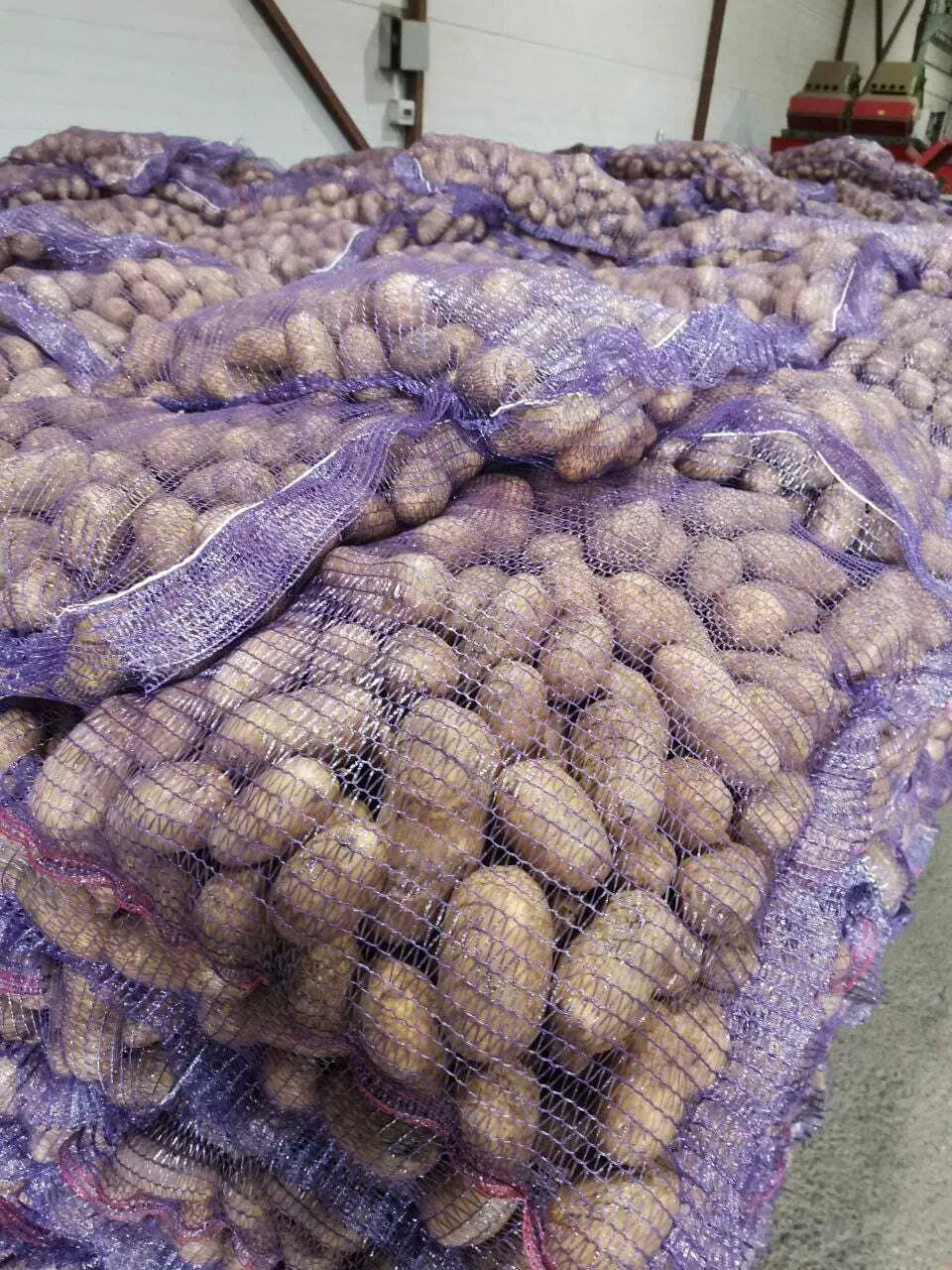 Фотография продукта Свежий картофель
