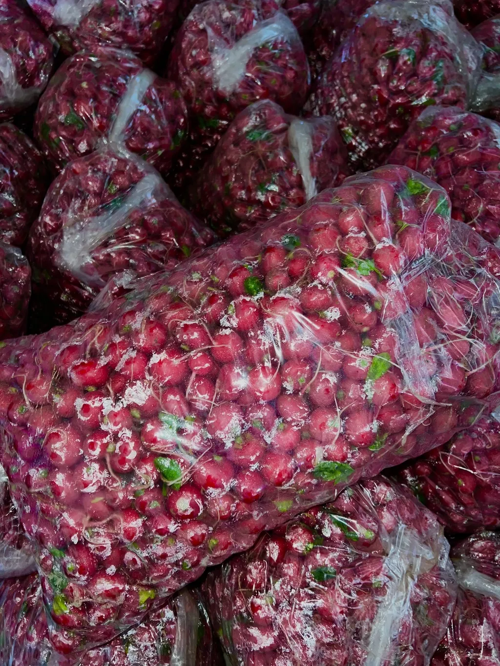 Фотография продукта Продажа редиса оптом 