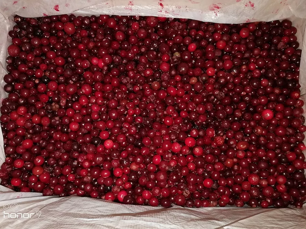 Фотография продукта Клюква россия