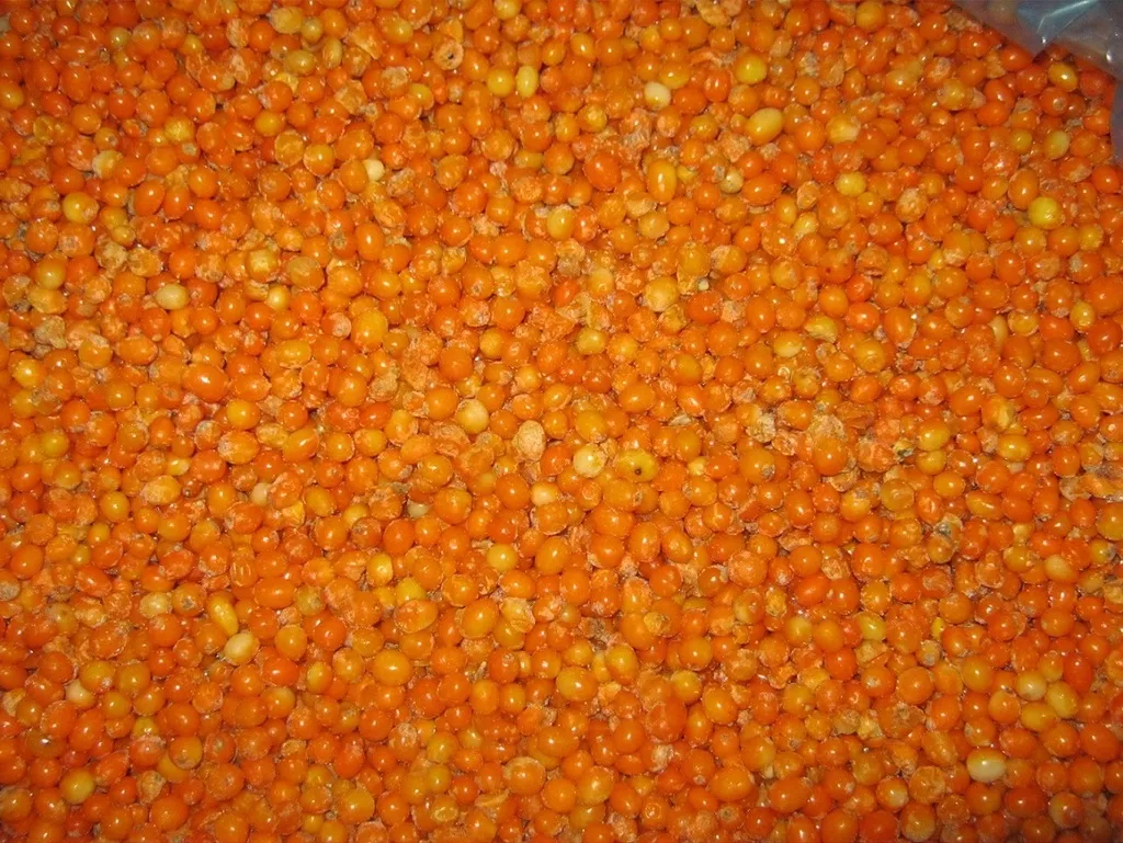 Фотография продукта Облепиха замороженная