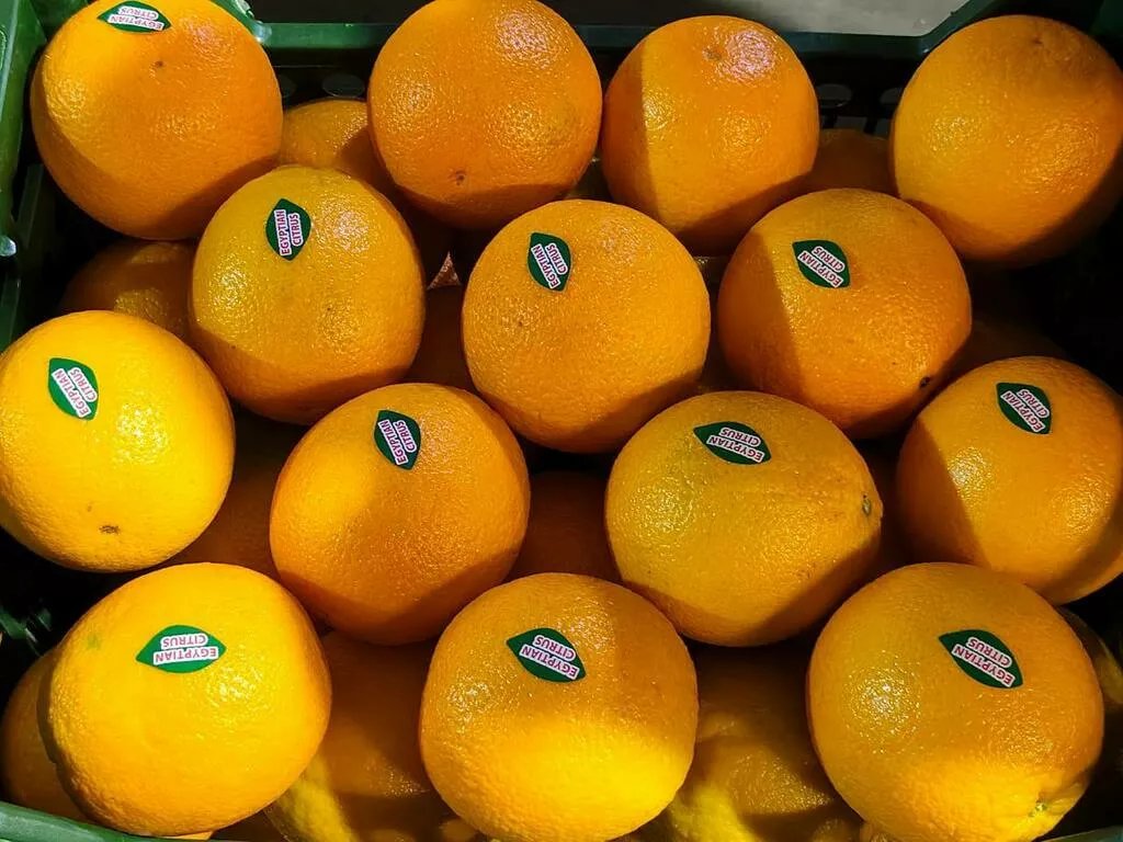 Фотография продукта Апельсины египетские оптом