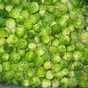 брюссельская капуста в Лобне