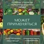 конвертер этилена с озонированием в Республике Беларусь 5