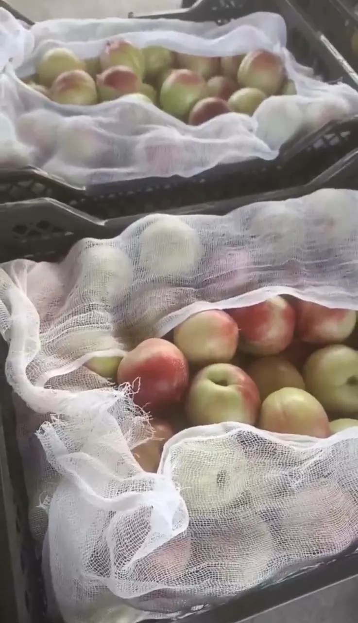 Фотография продукта Нектарин свежий 2026