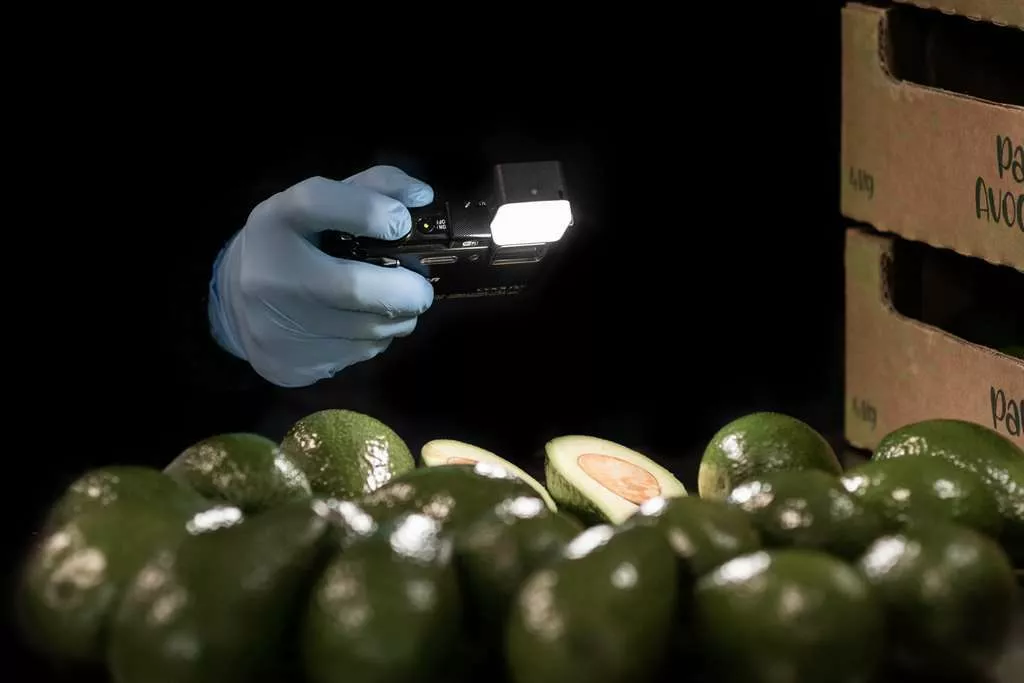 Фотография продукта Проверка качества фруктов
