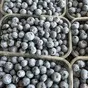 голубика из грузии  в Грузии 4