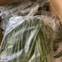 спаржа зеленая 1кг 1/10 китай в Москве