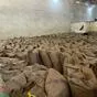 какао бобы (cocoa beans) в москве  в Москве 2