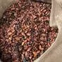 какао бобы (cocoa beans) в москве  в Москве
