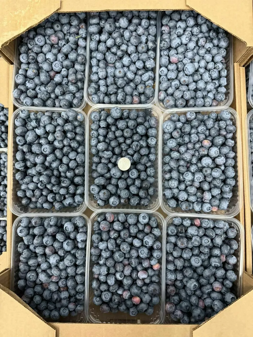 Фотография продукта Голубика от производителя