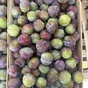 слива в Краснодаре и Краснодарском крае