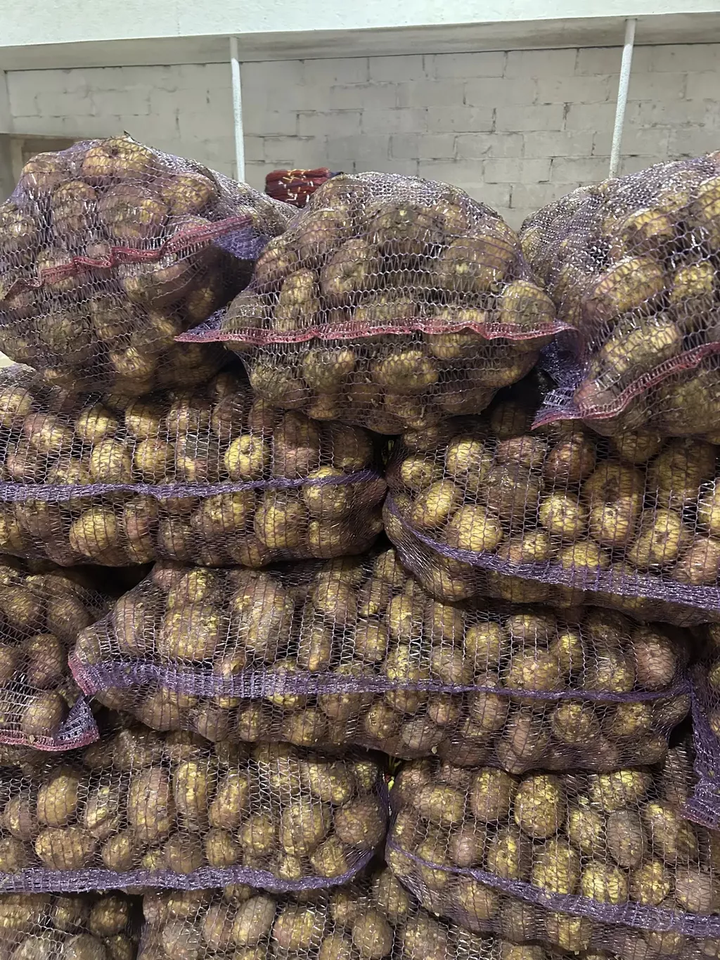 Фотография продукта Свежий картофель оптом от 20 тонн.