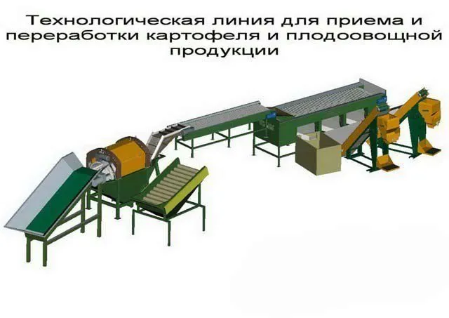 мойка полировка овощей, фасовка овощей в Москве 20