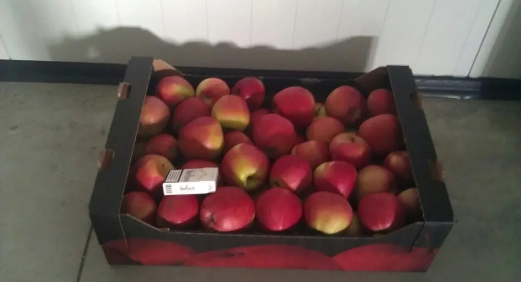 фотография продукта молдавские яблоки
