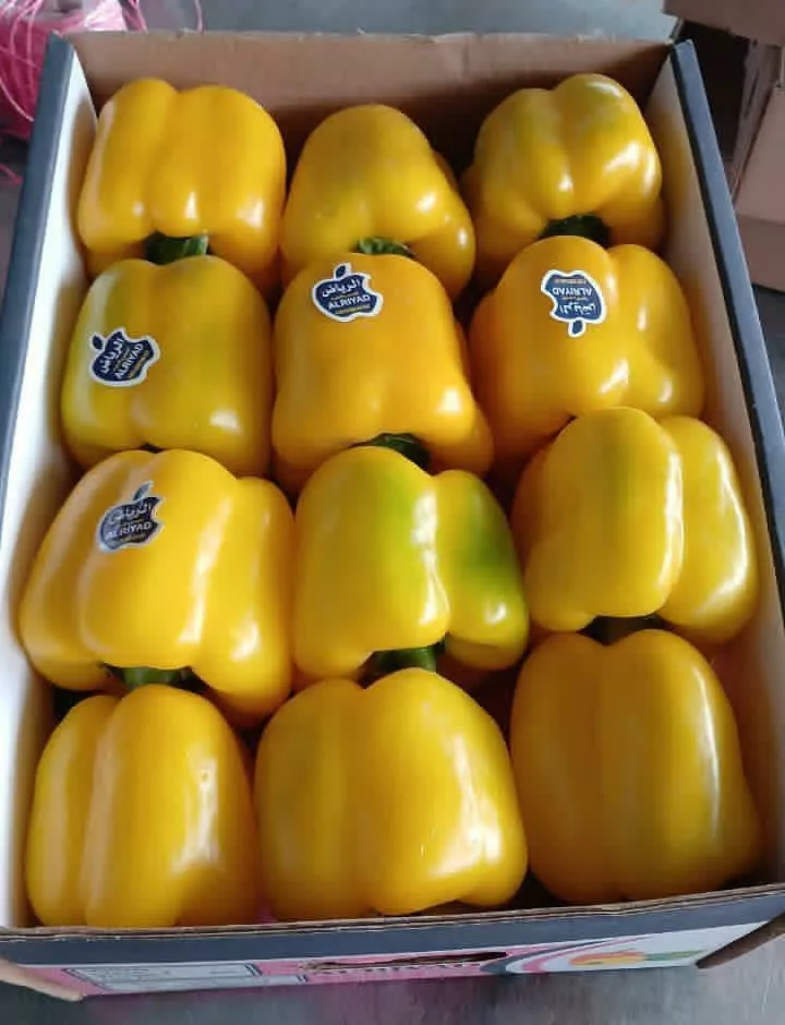 Фотография продукта Перец светафор 