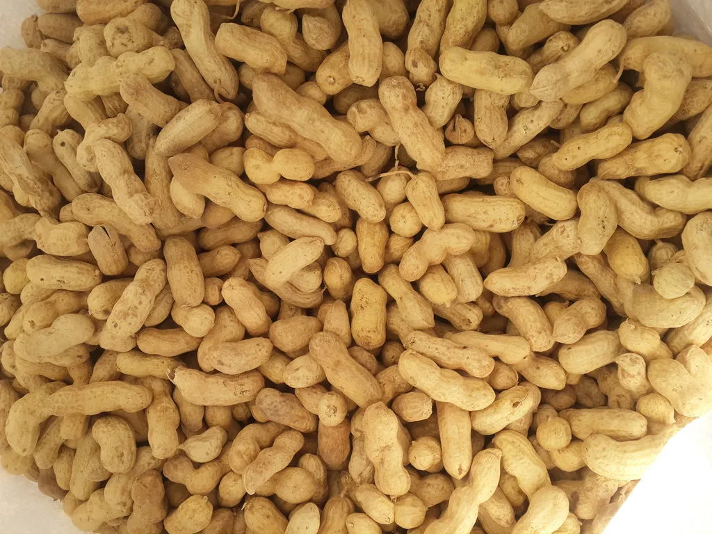 фотография продукта  орехи  сухофрукты  и  бобови