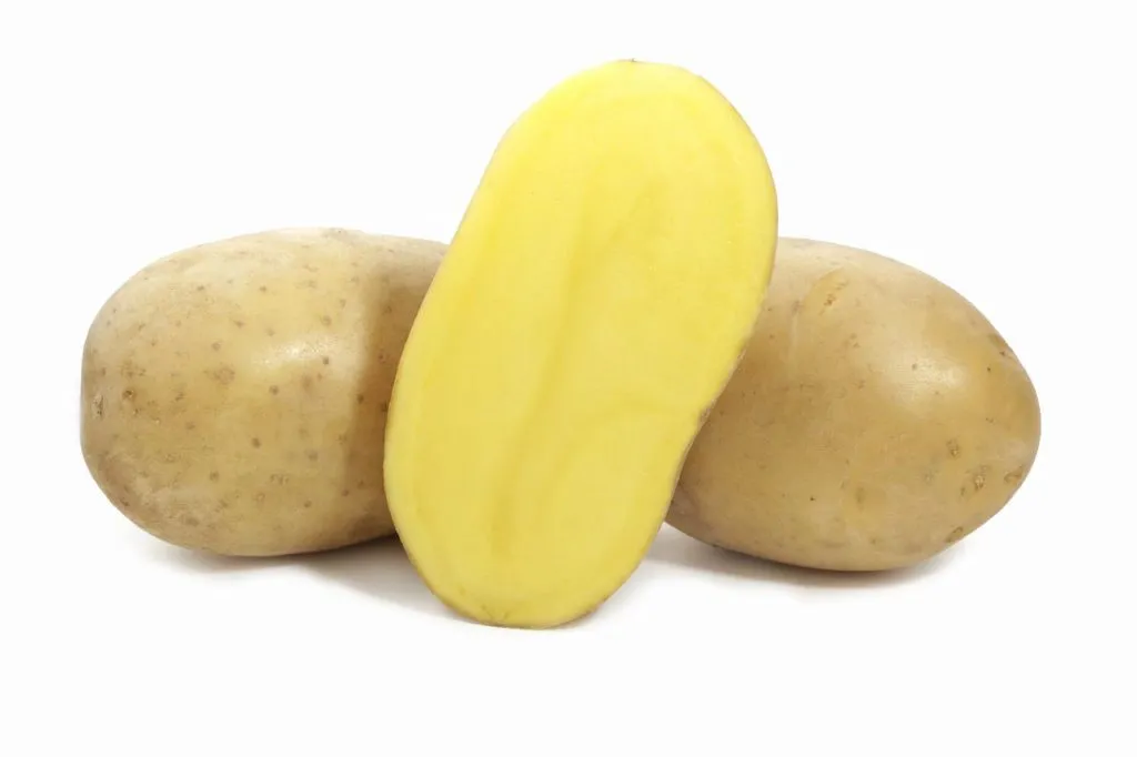 фотография продукта Семенной картофель сорт Вега