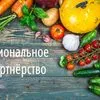 региональное Партнерство в Волгограде