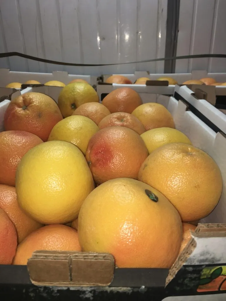 грейпфрут в Казани 2