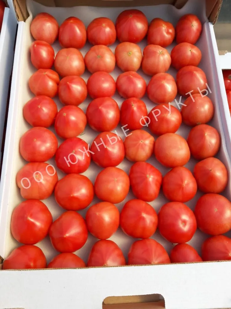 помидоры оптом в Краснодаре 2