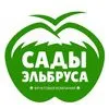 продажа яблок высшего сорта в Чегеме 2