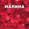 малина в Челябинске