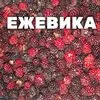 ежевика в Челябинске