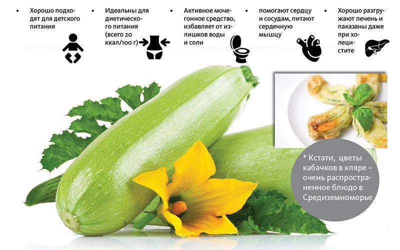 фотография продукта Кабачки из своего хозяйства