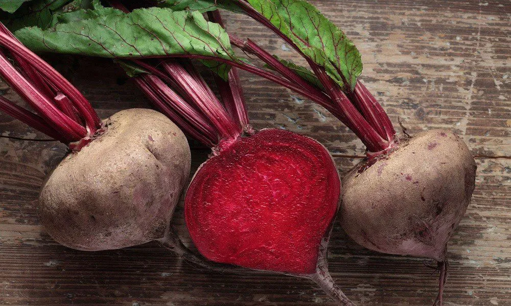 свекла в Самаре 2