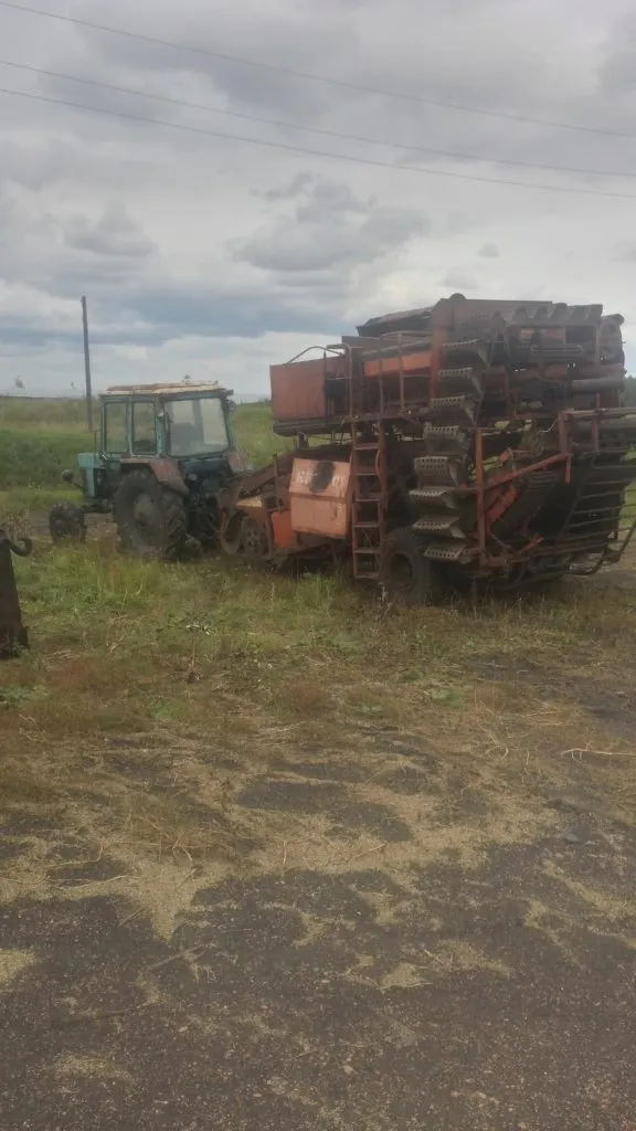  КФ хозяйство по выращиванию картофеля в Прокопьевске