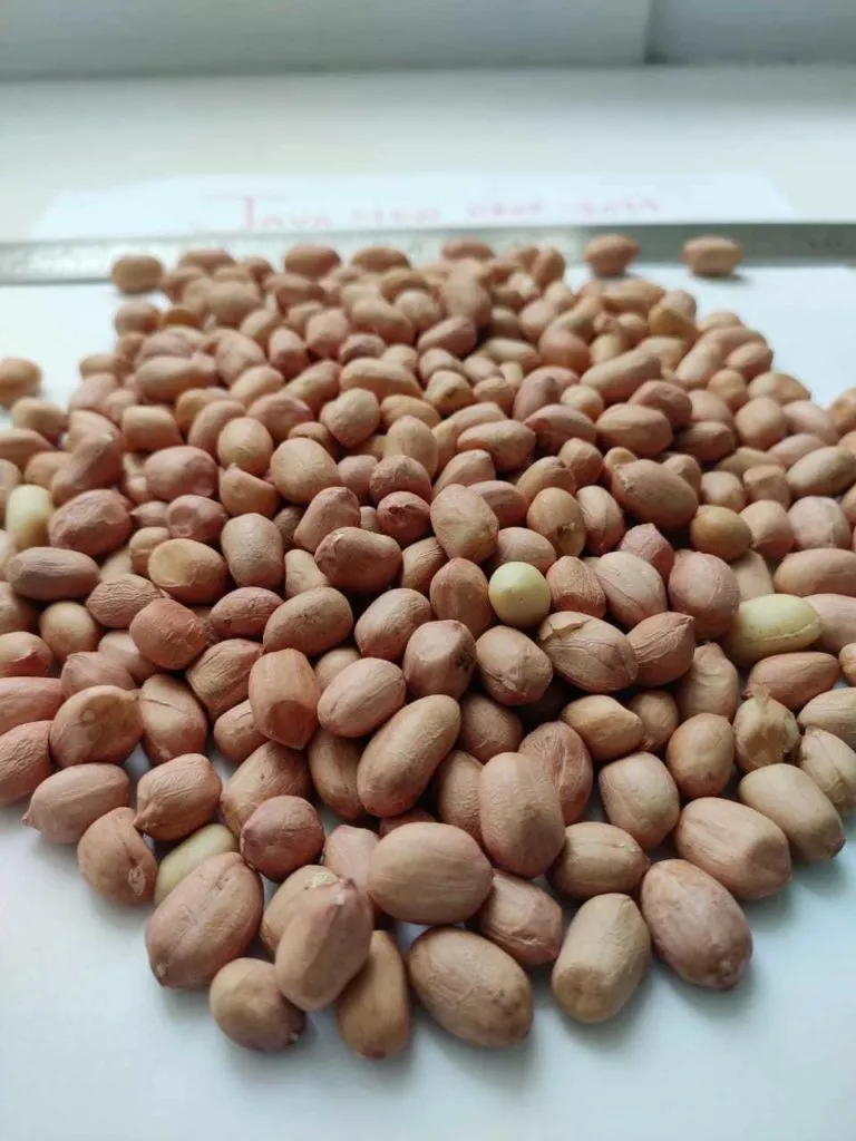 предлагаем купить арахис оптом  в Индии