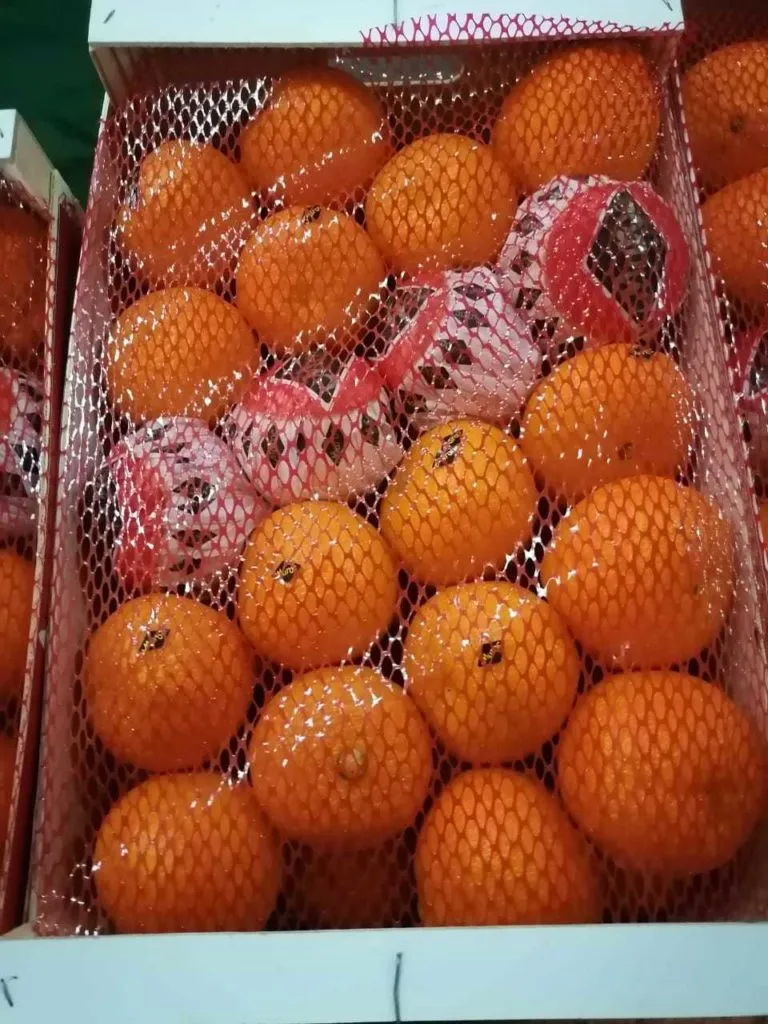 прямые поставки мандаринов из Марокко в Маврикии