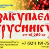 бруснику закупаем оптом в Старой Руссе