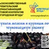 купим оптом Черноплодную рябину в Старой Руссе