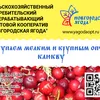 купим оптом Клюкву замороженную в Старой Руссе