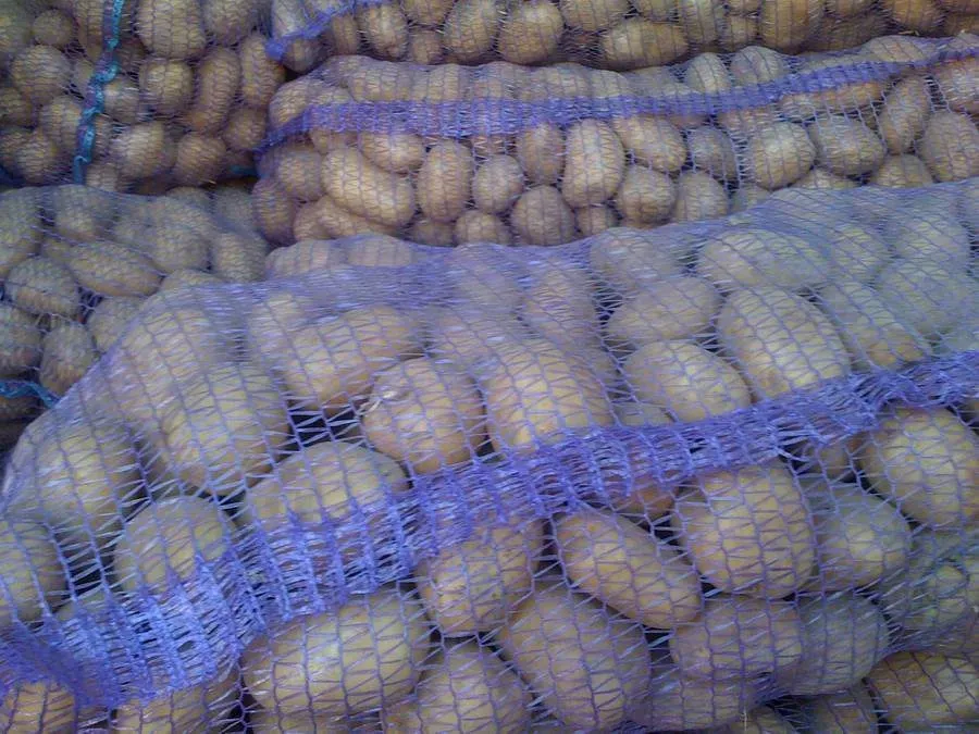 фотография продукта Белорусский картофель оптом с фермы