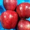 из Турции оптовая продажа яблок в Турции 3