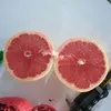 апельсин Мандарин Лимон Грейпфрут 0.60 $ в Турции 2